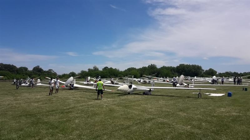 Albatros